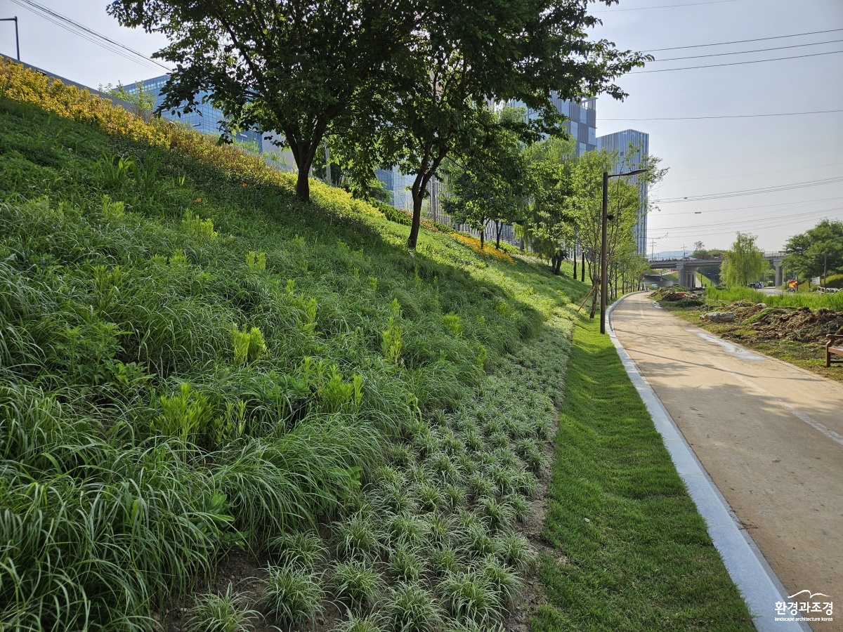 하천생태복원 및 녹화사업(강동구).jpg