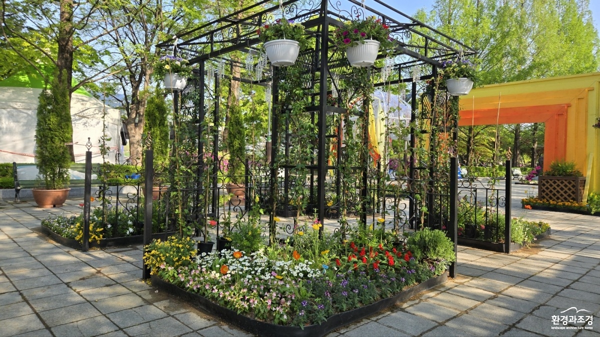 9. 노을빛3.jpg