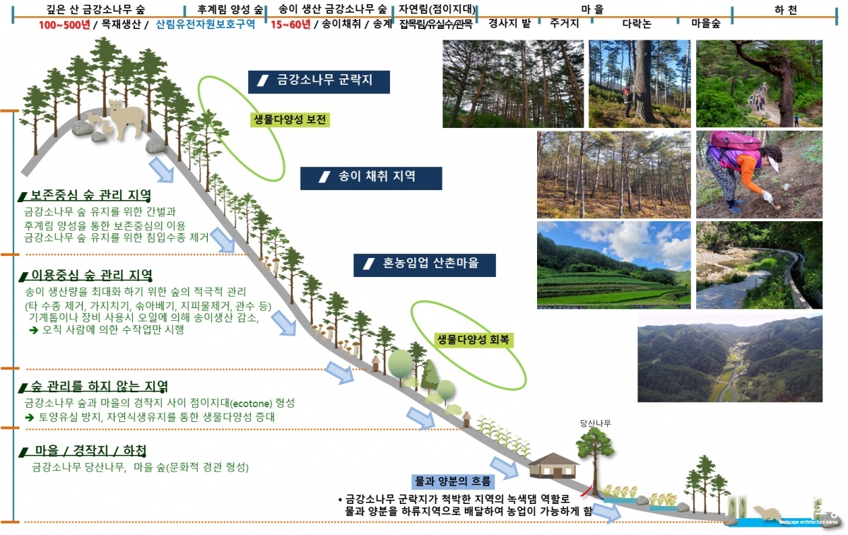 울진 금강송 산지농업시스템02.jpg