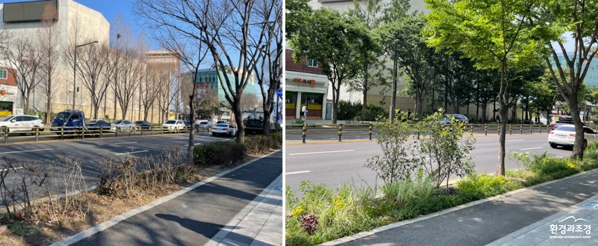 능동로 바람길숲 조성 전과 후.jpg
