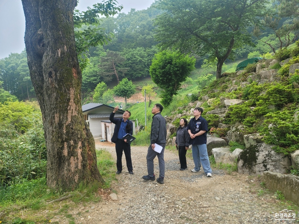 보호수(양산시산뽕나무)(1).jpg