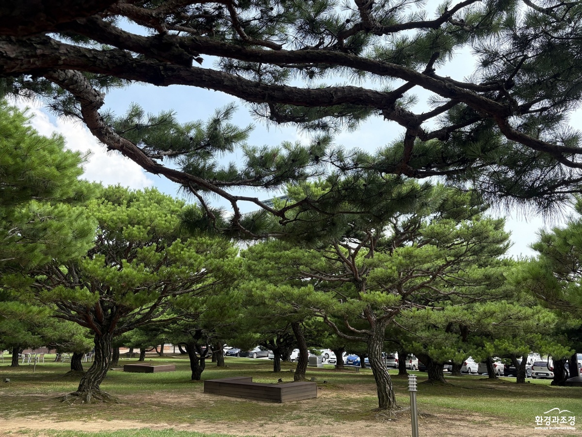 (4)송림포전경(3)_.jpg
