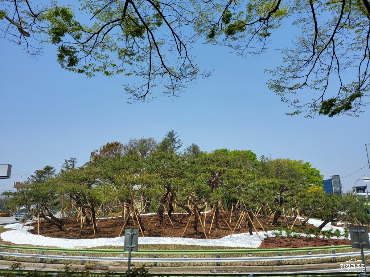개화동로 (1).jpg