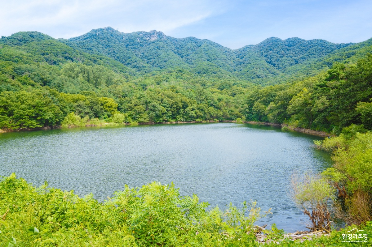 산림욕장길(숲속저수지).jpg