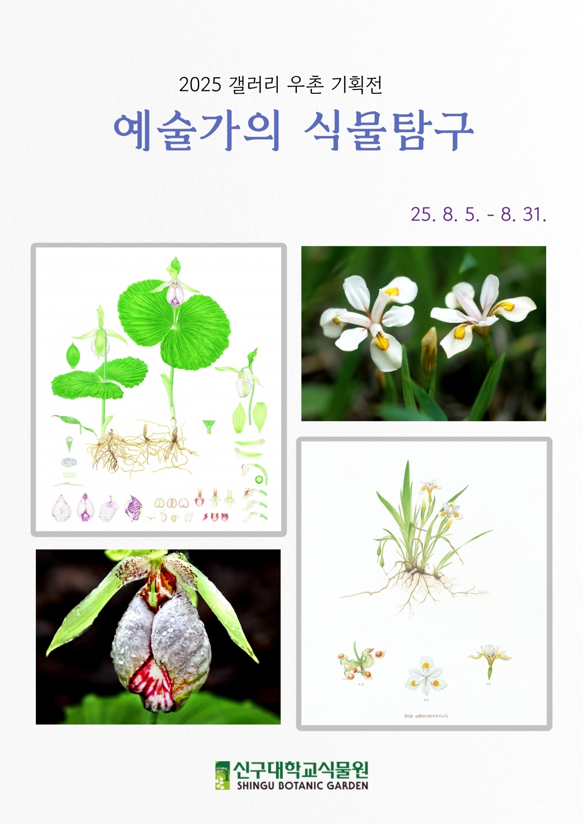 예술가의 식물탐구_포스터.jpg