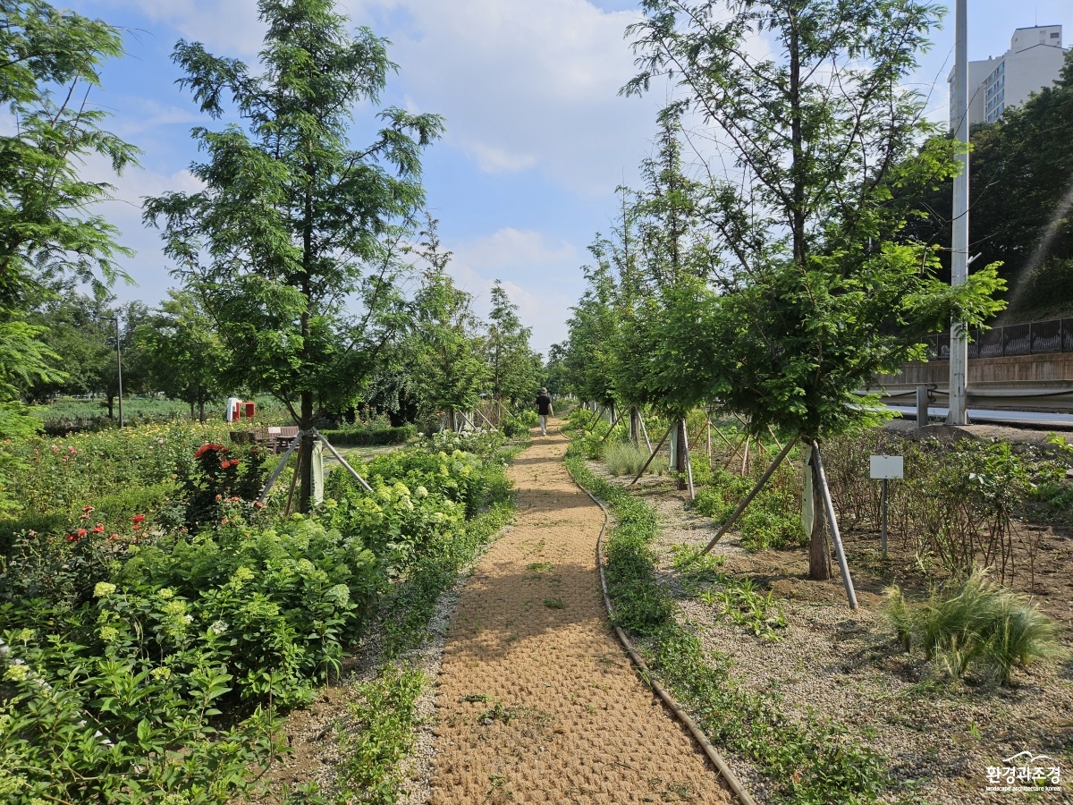 6. 중랑천(후).jpg