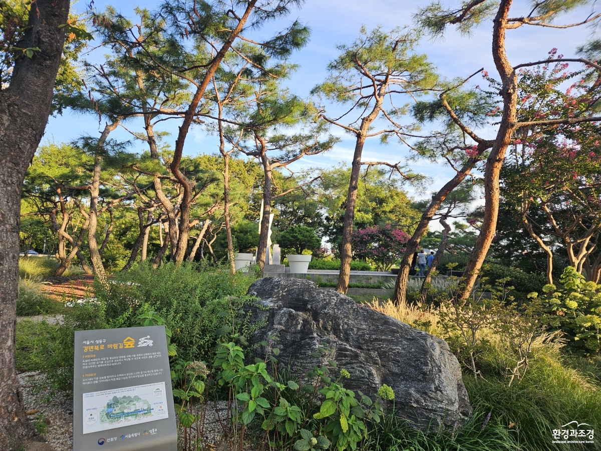4. 강변북로 성수대교 북단(후)(2).jpg