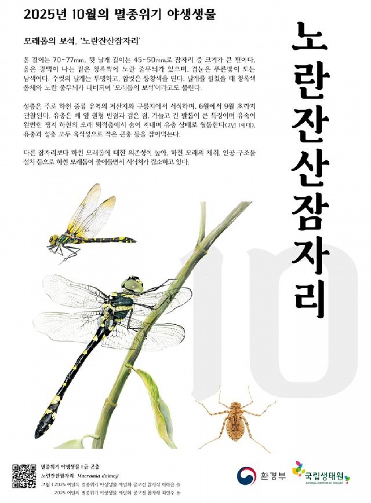 10월의 멸종위기 야생생물 포스터.jpg