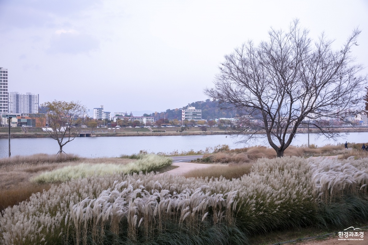 818A6189.jpg