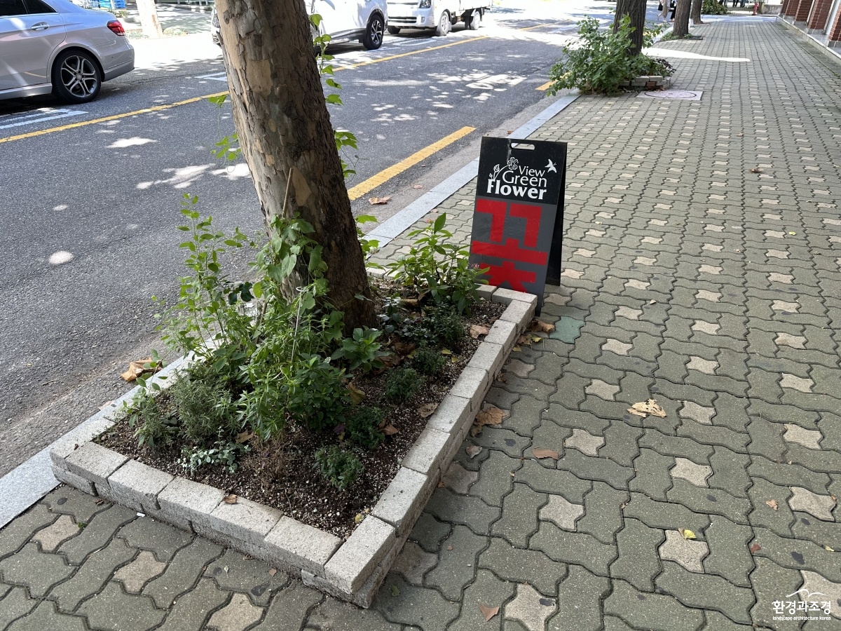 마포구에서 만난 한뼘정원_1.jpg