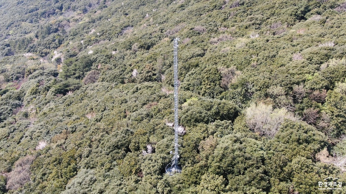 산림 플럭스타워 전경.jpg