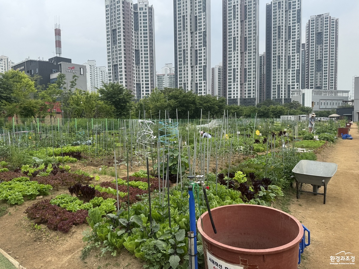자투리텃밭(성동구) 작물 재배.jpg
