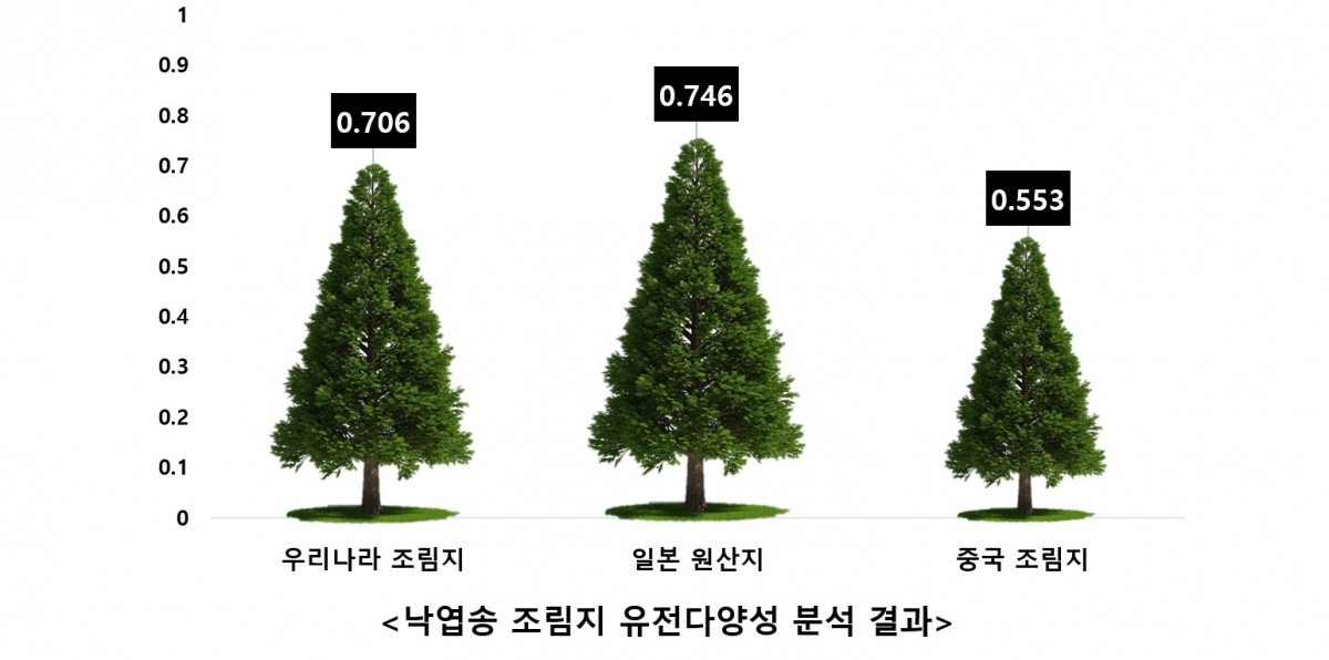 1. 낙엽송 조림지 유전다양성 분석 결과.jpg