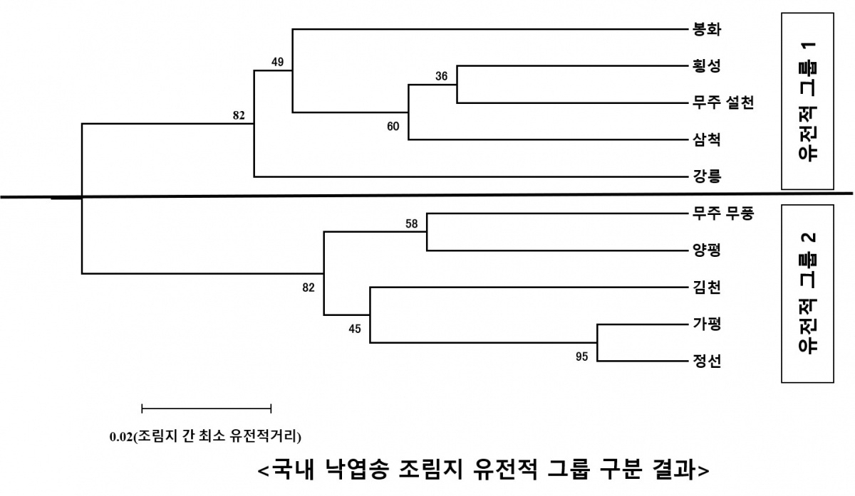 2. 국내 낙엽송 조림지 유전적 그룹 구분 결과.jpg