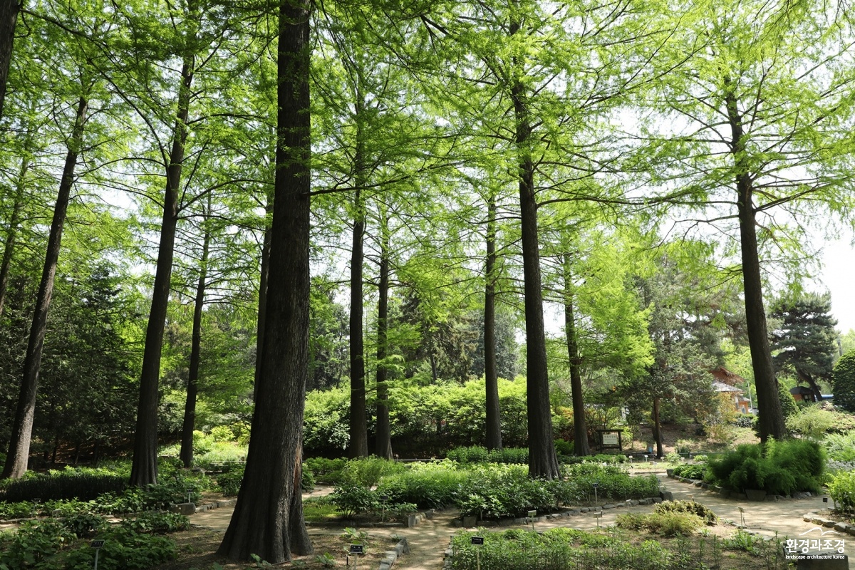 홍릉숲 사진.jpg