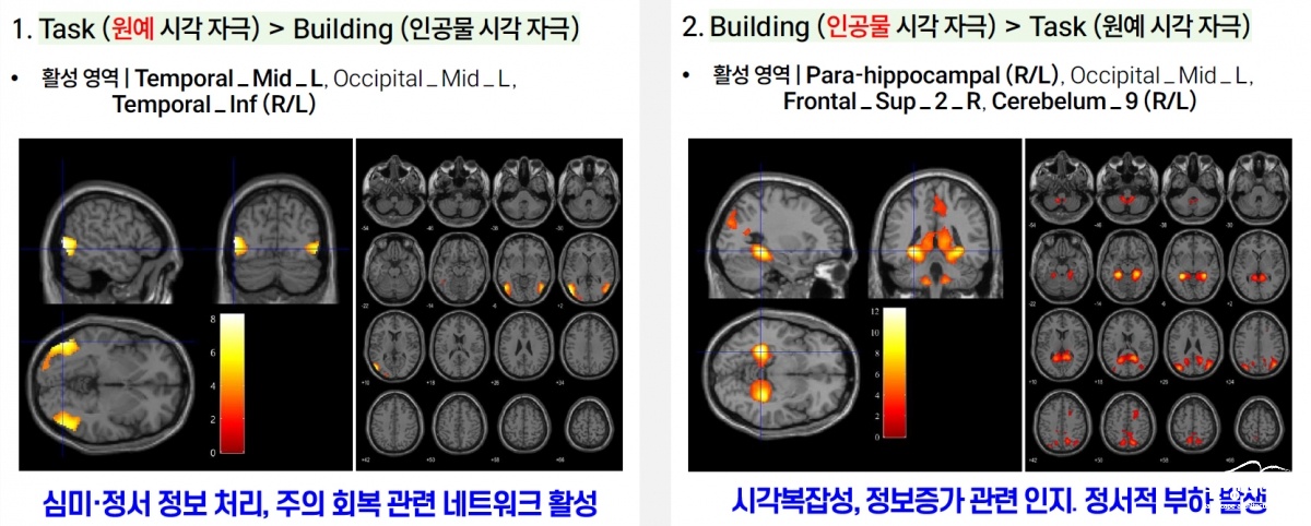 식물 유형별(관엽·채소·화훼) 시각 자극에 따른 뇌 활성 차이.jpg