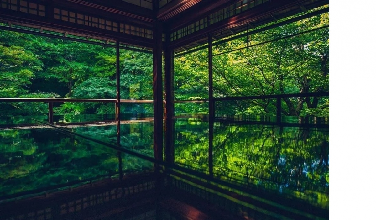 루리코인.jpg