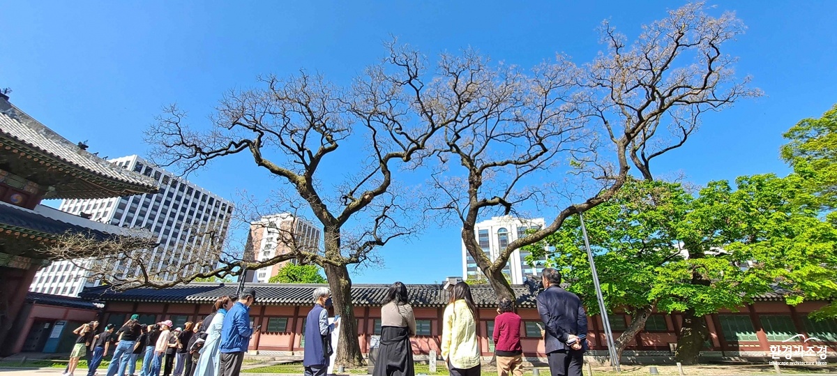 2023년도에 운영된 동궐도와 함께하는 창덕궁 나무답사.jpg