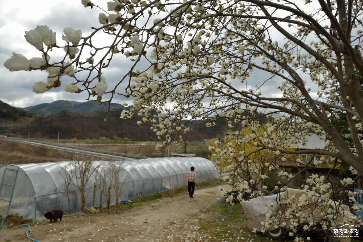 경상북도 영주시 평은리_2013년 4월 7일.jpg