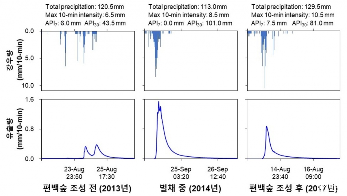 편백숲 조성 후 강유량·유출량 변화.jpg