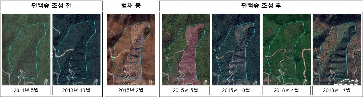 편백숲 조성 과정 변화.jpg