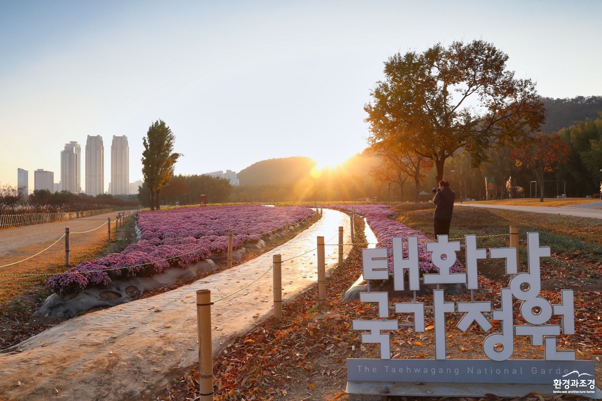 03 태화강국가정원 국화정원.jpg