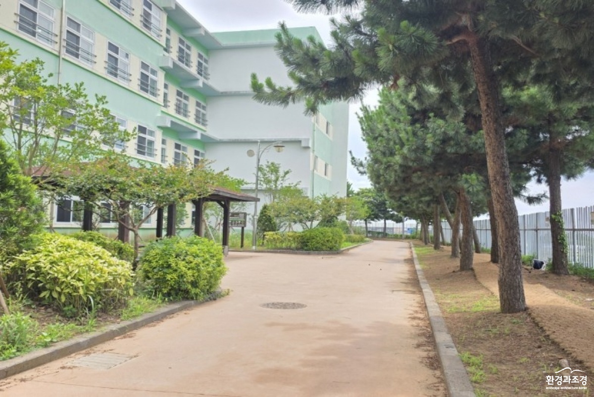 2026 제주서중학교 학교숲 조성.jpg