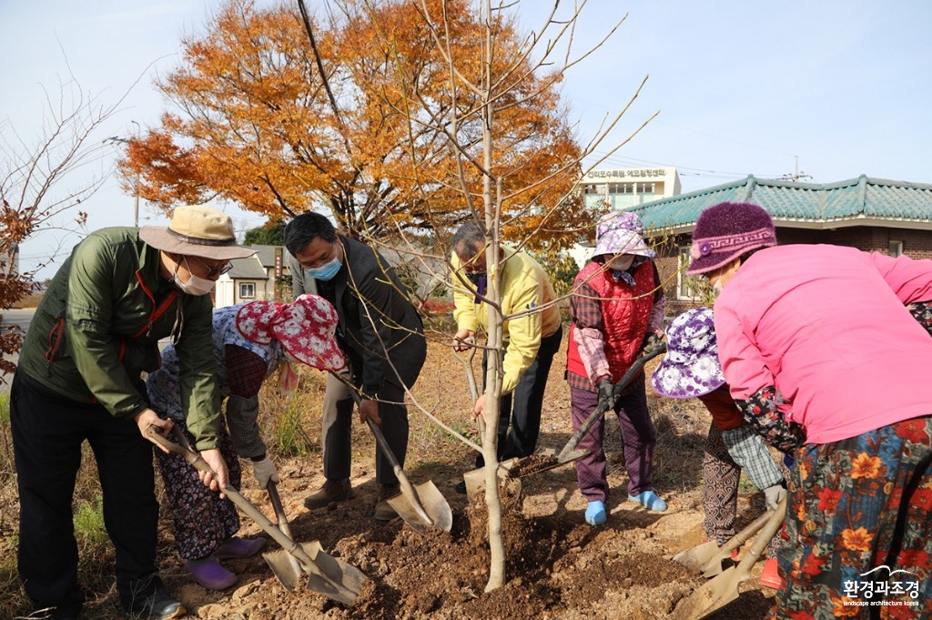 천리포마을에 목련을 심는 지역주민, 김용식 원장, 박준서 소원면장 보도.jpg