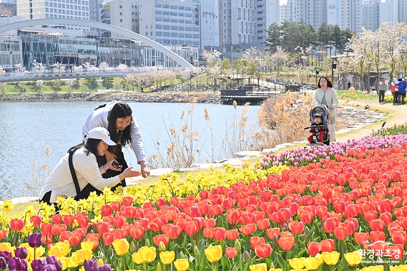 ‘꽃향기 가득’ 하남시, 공원과 길가에 계절꽃 9만7,000본 식재.jpg
